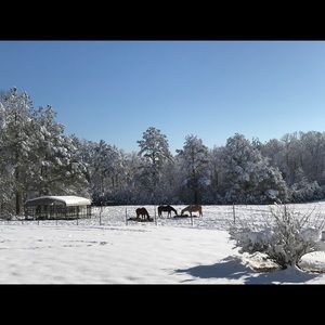Meet your Posher, Lynn